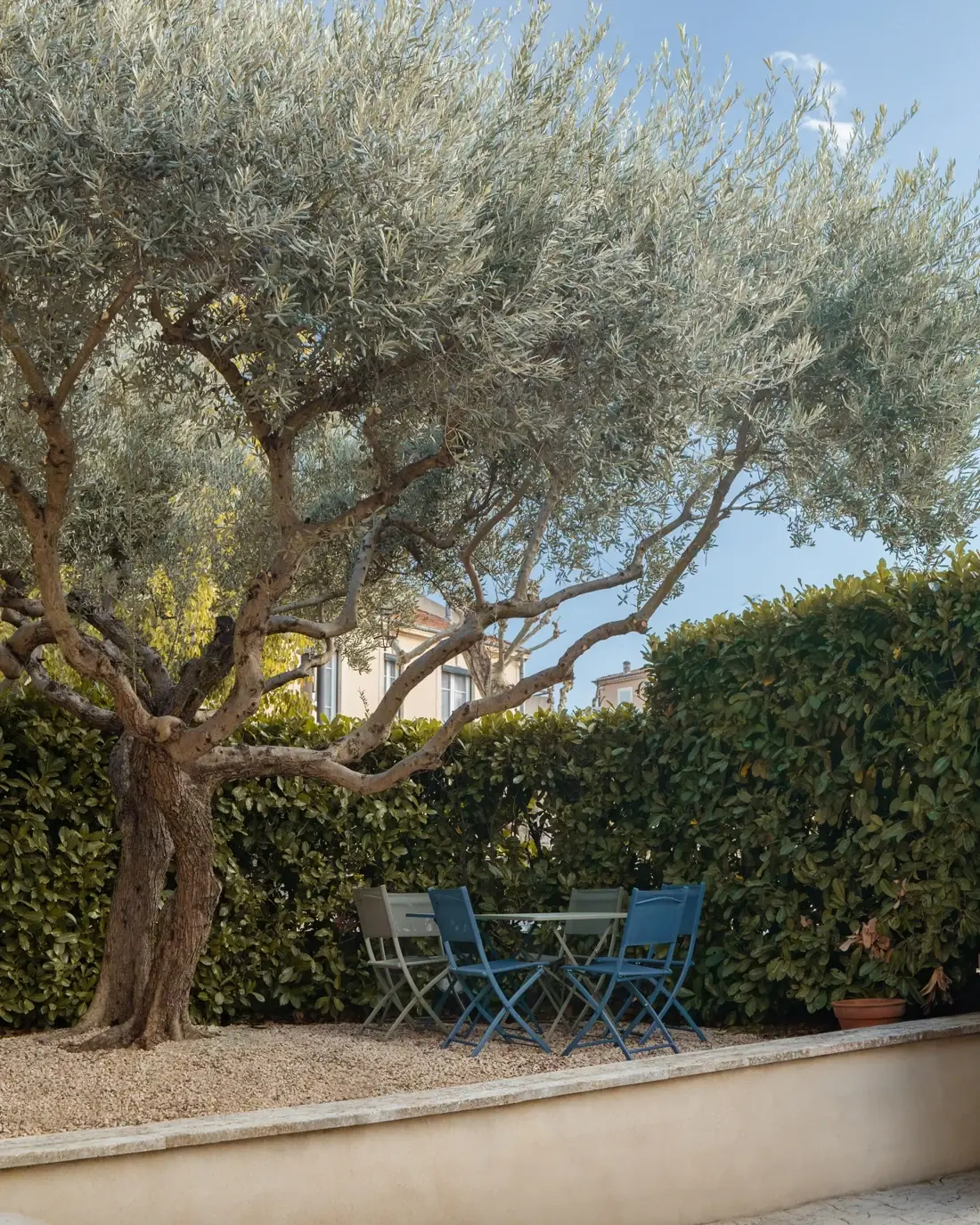 Une table et des chaises sous l’olivier, dans la cour de la Maison de Voltaire